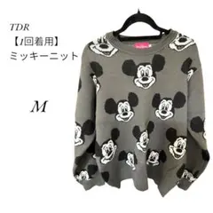 【美品】東京ディズニーリゾート ミッキー ニット Mのサムネイル
