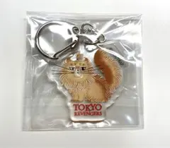 東リべ 佐野万次郎 マイキー アクキー