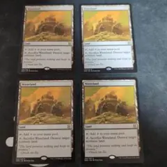 MTG Wasteland/不毛の大地 4枚セット EMA版 - メルカリ