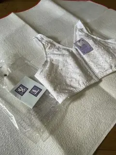 Item thumbnail for item 8b88a02a-d391-4a82-a825-fed1c914cf9b