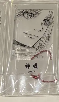 銀魂　フォトスタイルアクリルキーホルダー　神威