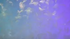 ☆ゆう★様専用ページ