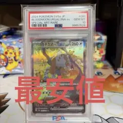 烈空熊 曉 ex SAR PSA10