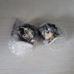 鬼滅の刃 おねむたん 拾弐ノ型 義勇 獪岳