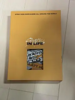 Stray Kids IN LIFE CD アルバムのサムネイル