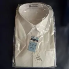 Item thumbnail for item a1c16bce-4ebf-4be1-83f8-17c04efcfdc1