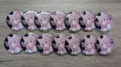 ホロライブ 博衣こより 缶バッジ アニメイト 14個