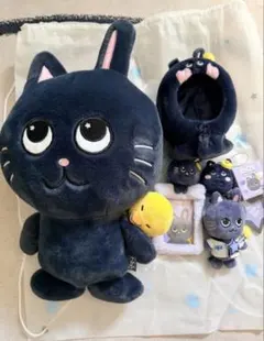 RIIZE ウォンビン トニャンドク グッズ まとめ売り