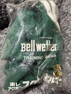 Item thumbnail for item 483686b2-3318-4463-b587-0ae1232dde3d