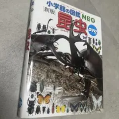 小学校の図鑑NEO 昆虫 DVD
