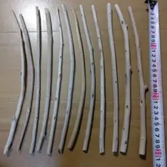 Item thumbnail for item b00c5541-49cd-4265-aa30-b1cc9ace5985