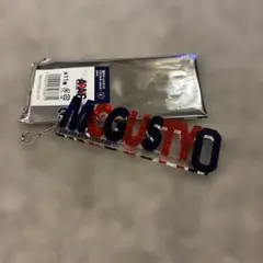 横浜ビーコルセアーズ アクリルキーホルダー MCGUSTY