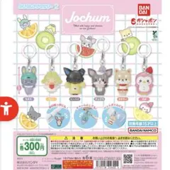 JOCHUM めじるしアクセサリー5個セット