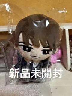 【新品、未開封】SnowMan 渡辺翔太 すのチル BIGぬいぐるみ