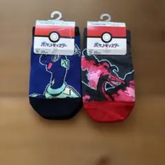 子どもに大人気のポケットモンスター キャラクターのび〜るフィット2足