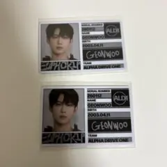 ALPHADRIVEONE EUPHORIA FREAK ALBUM 封入 ゴヌ