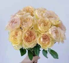 ゆうか様 リクエスト 2点 まとめ商品