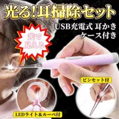 耳かき ピンセット 光る LED ライト USB充電式 ルーペ付 収納ケース付