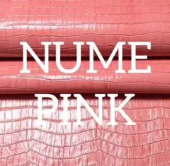 Item thumbnail for item 39873f8f-7d85-4fdc-a82e-9ac5cfaa372b