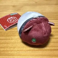 魔法使いの約束 もちフレ【ミスラ】