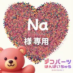 Na様　専用ページ