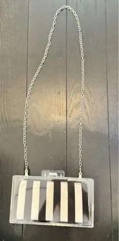 ZARAザラ アクリルクリアショルダーバッグ ストライプミニポーチ付き