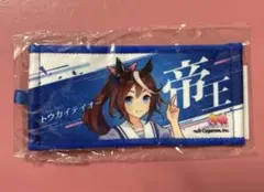 ウマ娘 6th リアルガチャ 公式ミニ応援タオルキーホルダー トウカイテイオー