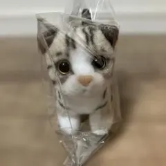 リアルアニマル Cute子猫マスコットBC2 サバトラ ぬいぐるみ