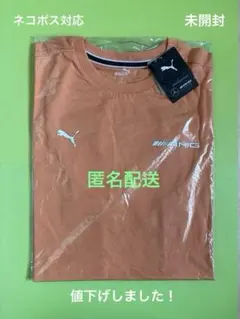 PUMA メルセデス　AMG グラフィック　Tシャツ バックプリント L