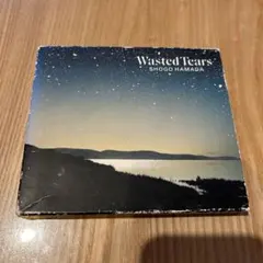 浜田省吾/ウェイステッド・ティアーズ