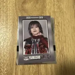 THE RAMPAGE 山本彰吾 フォトカード