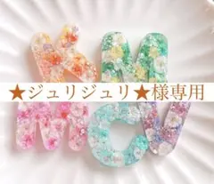 ★ジュリジュリ★様専用