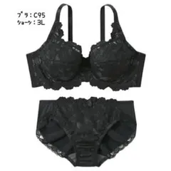 未使用 ニッセン×トリンプ Ｃ９５ ３Ｌ(ショーツ) 脇肉 フルカップ 補整のサムネイル