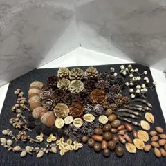 A-36自然素材　木の実16種漂白　ナチュラル　インテリア　リース素材