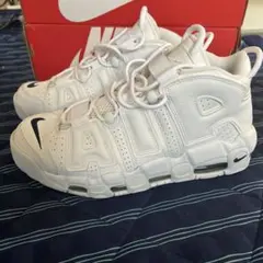 Item thumbnail for item 14471b76-4c22-4c2e-9352-c5f12e0037f7