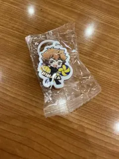 くら寿司ハイキュー　日向翔陽