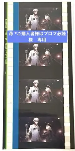 苺 *ご購入者様はプロフ必読様専用