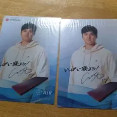 Item thumbnail for item b8e21992-bab0-4993-ba1b-8d41ba1e9edb