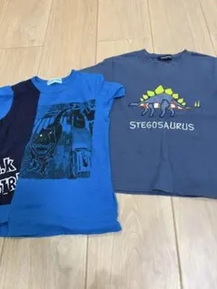 恐竜　Tシャツ　二枚セット　右はクレードスコープ　左ハッカキッズ