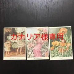 2026年最新】ハイクラウン フェアリーカードの人気アイテム - メルカリ