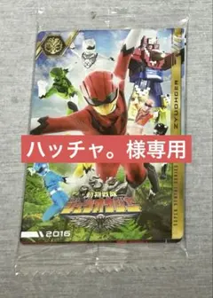 【ハッチャ。様専用／ジュウオウジャー】イタジャガ