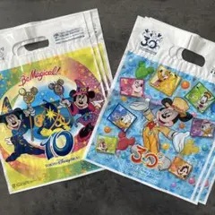 東京ディズニーリゾート　お土産袋