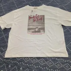 SHOO・LA・RUE　 Tシャツ ホワイト 02/M　新品　ネコ