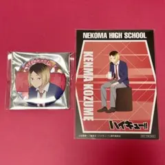 ハイキュー!! 孤爪研磨 缶バッジ まねきねこ