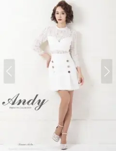 Andy 袖あり ミニドレス