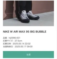 AIR MAX 95 OG 27.5cm Pink Form 美品