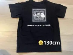 THE NORTH FACE Tシャツ
