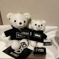 Item thumbnail for item fedb6dc7-3b4c-4527-9a72-b22f10b02510