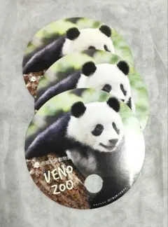 新品★上野動物園 シャンシャン うちわ 3枚セット パンダぱんだ