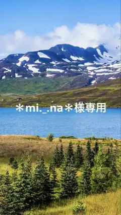 91 レジン　シャカシャカキーホルダー　シェイカー 夢かわ　雪　パフェ